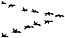 027A Ducks in Formation