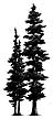 030C Fir Tree