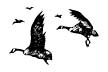 040B Geese in Flight lg