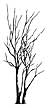 053F Leafless Limbs lg
