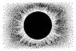 076D Solar Eclipse