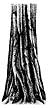 087F Tree Trunk