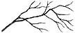 122F Bare Branch lg