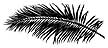 124F Palm Frond lg