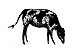 172A Grazing Cow
