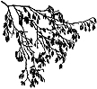 399E Leaves