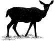 401B Doe Silhouette Large