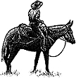 403C Lady Riderl