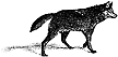 405D Wolf