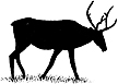 415B Caribou