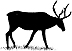 416A Caribou Small