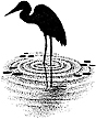 417D Heron in Water