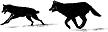 427E Wolves Runing